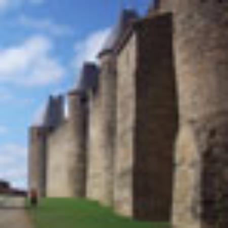 TripAdvisor Testimony by Romerogerby