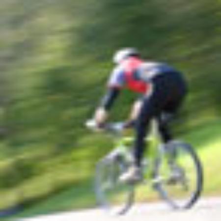 TripAdvisor Testimony by Graceolivia509