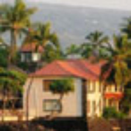 TripAdvisor Testimony by Oriol4