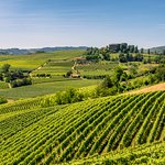 TripAdvisor Testimony by Mutenrosi